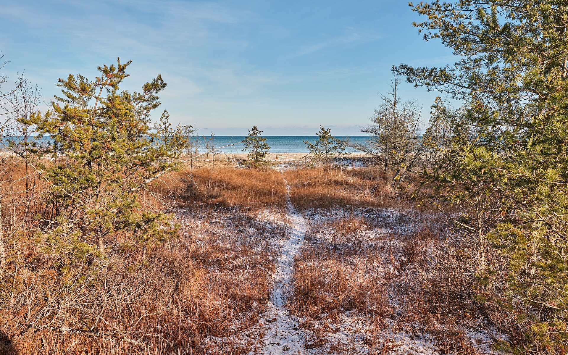 Forest trail to the beach at Negwegon State Park.
