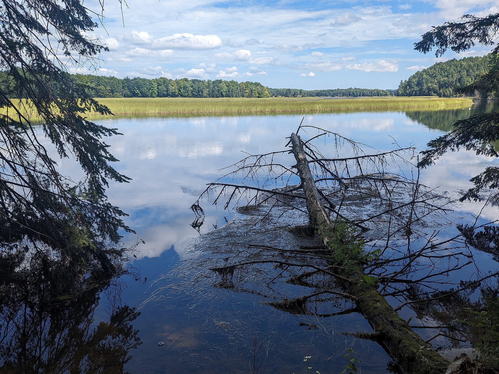 Kayaking & Paddling on Michigan's Sunrise Coast — AuSable River · early morning fog.