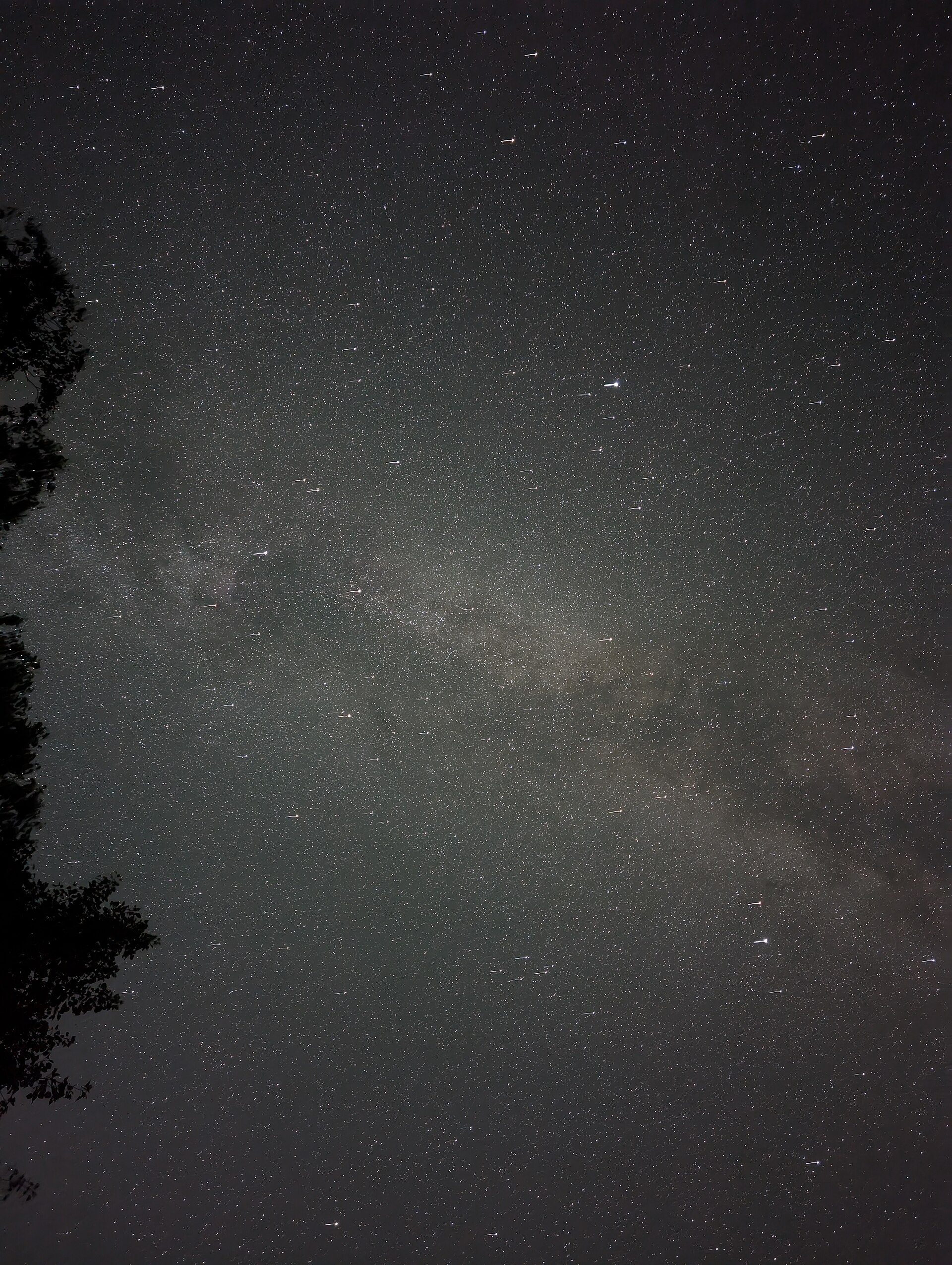 The Milky Way above Headlands International Dark Sky Park.